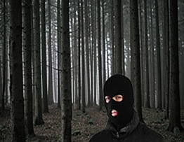 LEED TAKES A STAND AGAINST ILLEGAL WOOD