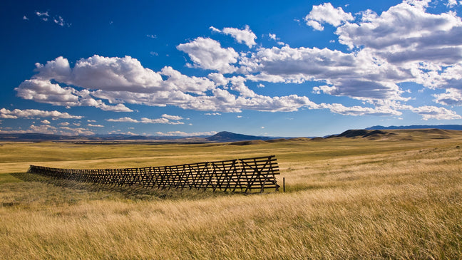 A section of Wyoming snow fence in the Big Hollow.