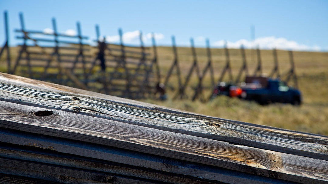 A Centennial Woods crew reclaiming naturally aged wood boards from a Wyoming snow fence.