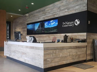6 foot long reclaimed wood boards in the Sundance White finish installed in a reception area.