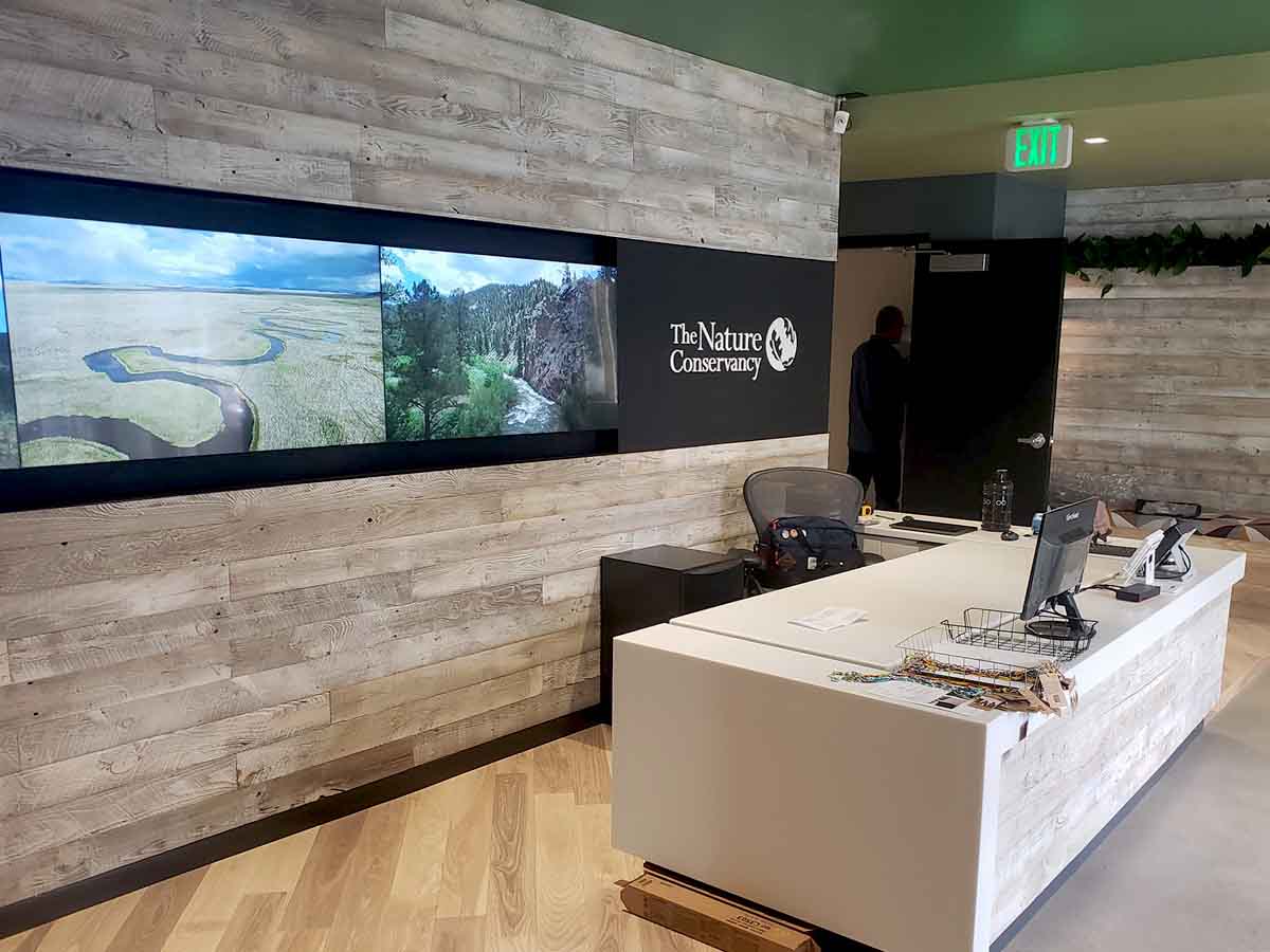 Reclaimed wood paneling used as a biophilic interior design element in an office's reception area