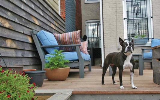 OUTDOOR LIVING AND WEATHERED WOOD