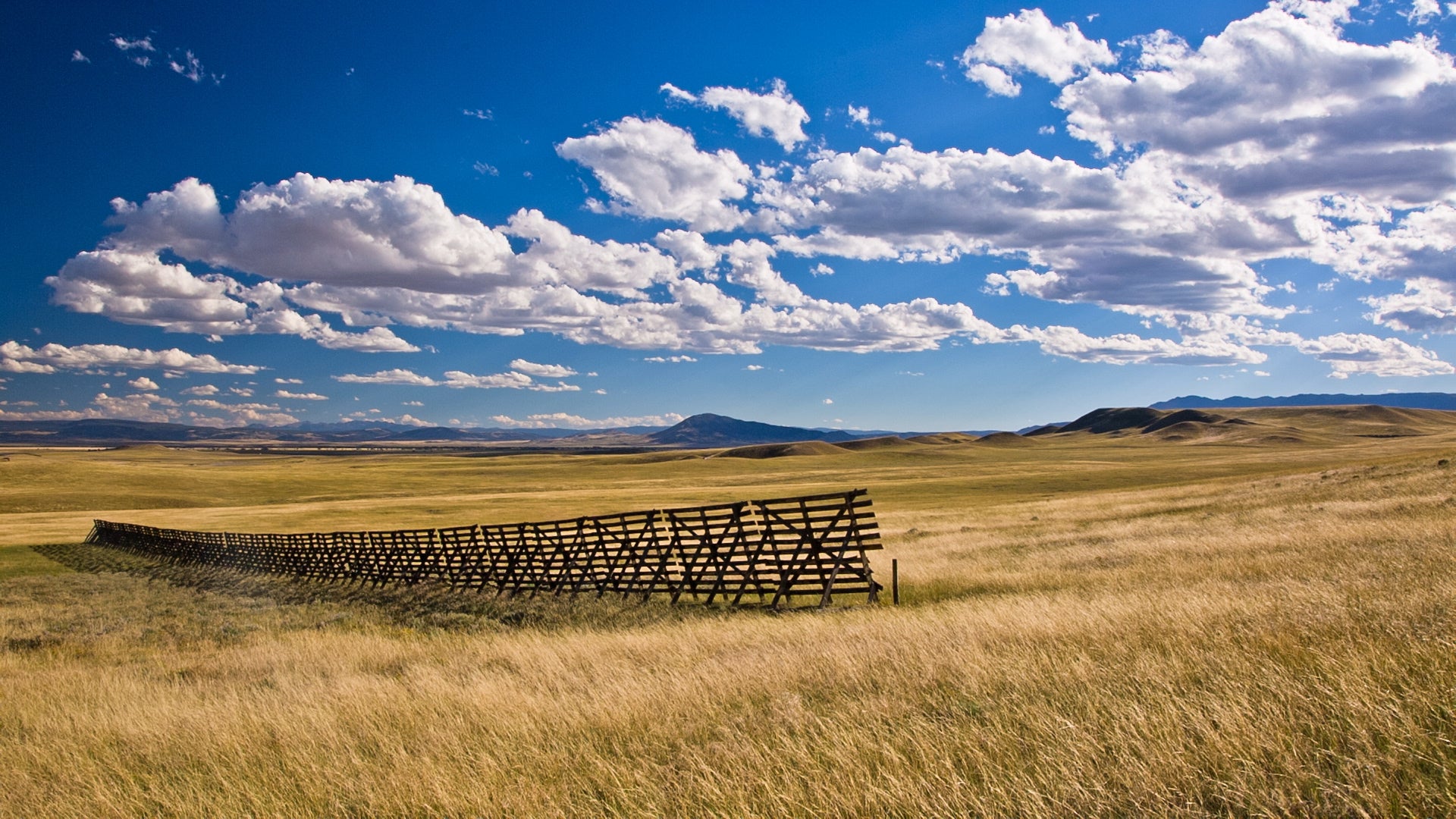 A section of Wyoming snow fence in the Big Hollow.