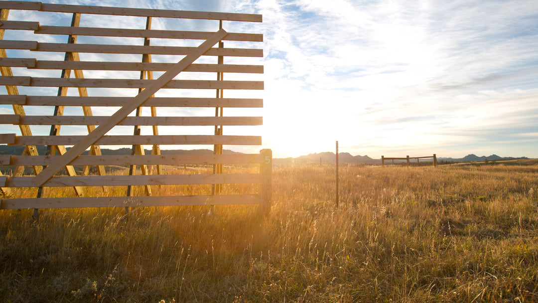 Image of a new Wyoming snow fence at sunrise near the Happy Jack recreation area