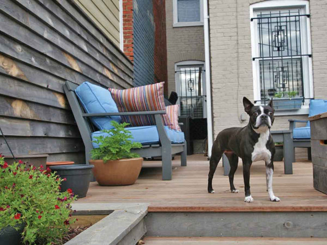 reclaimed-wood-siding-laramie-residential-siding-dog|gallery_img product_siding laramie_color use_walls application_exterior type_residential
